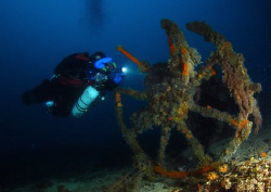 Diver at Misi, Borans Wreck by Andy Kutsch 